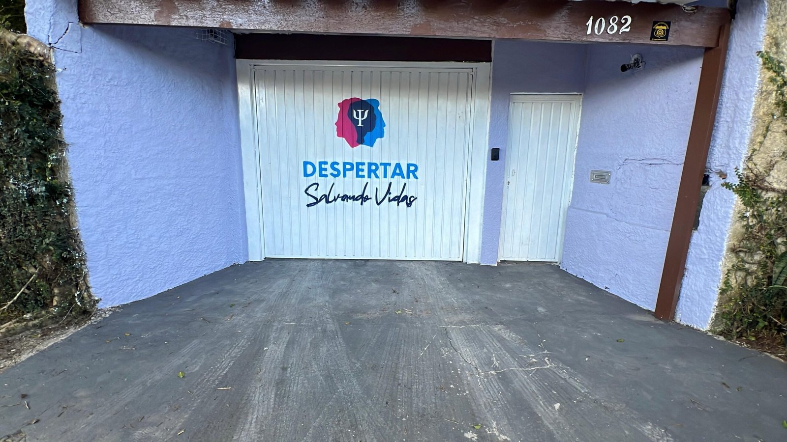 Despertar Salvando Vidas - Estrutura